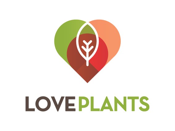 Why Visit Love Plants in February 2024