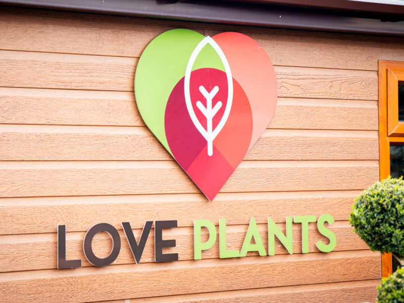 https://www.love-plants.co.uk/wp-content/uploads/2022/07/LovePlants-270-e1660136736772-800x600.jpg