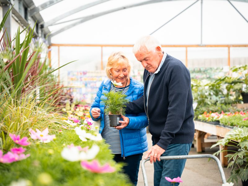 Plant Centre Shrewsbury | LovePlants