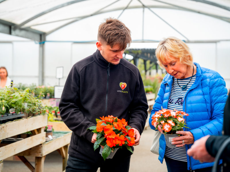 LovePlants Plant Centre Shropshire About LovePlants