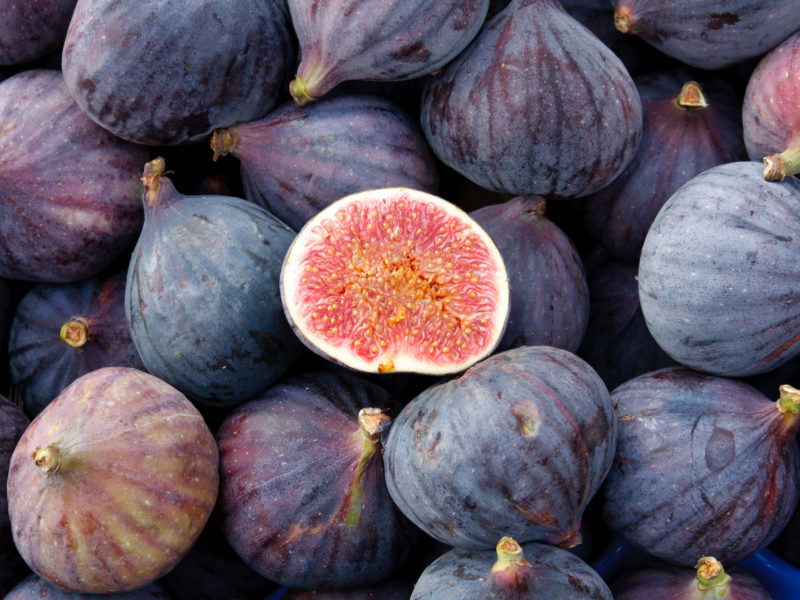 Figs Fruit Trees | LovePlants