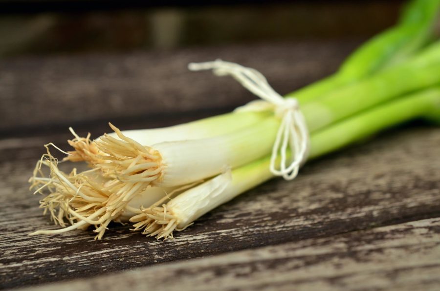 Love Plants | Spring Onions