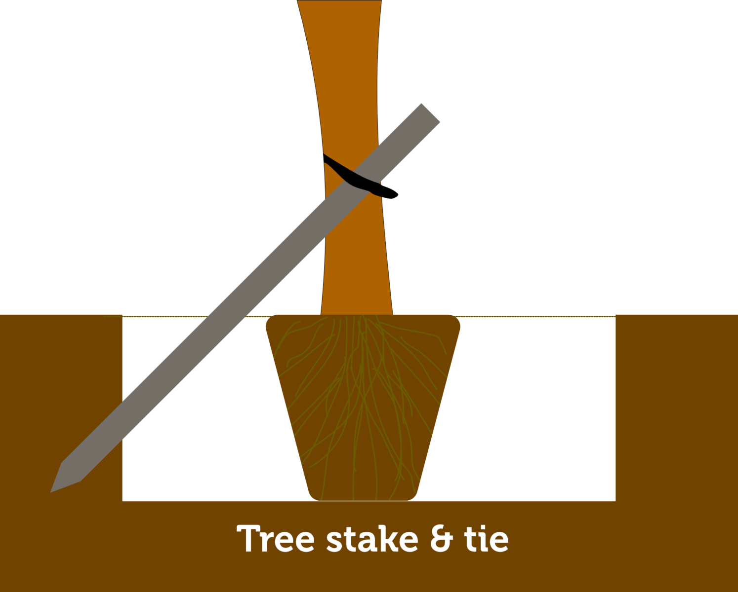 Planting Trees and Shrubs LovePlants