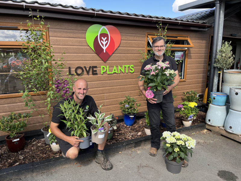 Love Plants at Shrewsbury Flower Show